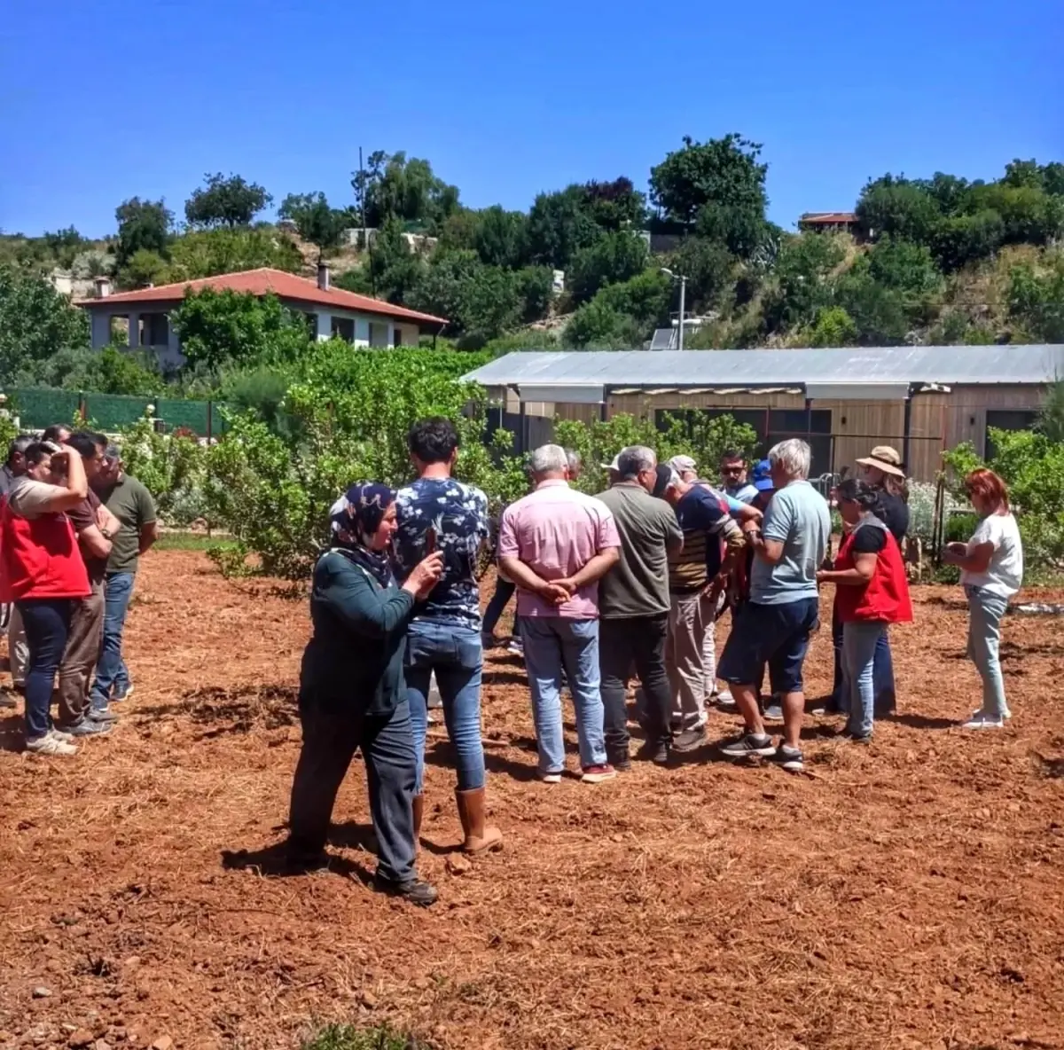 Muğla’da Sakız Ağacı Tarla Günü